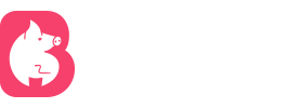 cn每日大赛